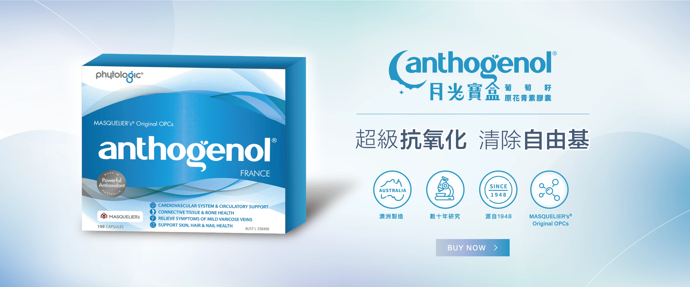 Anthogenol®月光寶盒